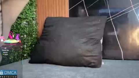 Kiara Zahiri online show from November 3, 11:03 am