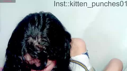 kitten_punches02 online show from November 16, 3:12 pm