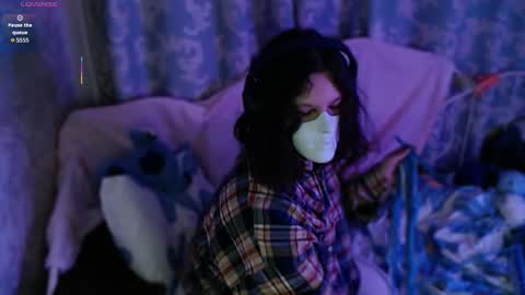 fancy cat online show from November 23, 1:13 pm