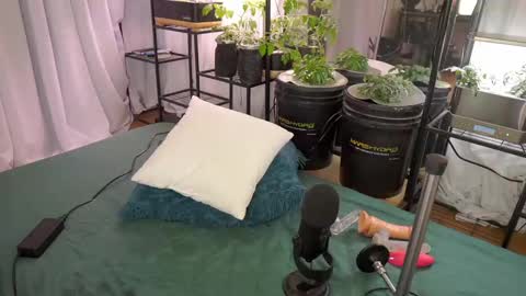 KYLIE LE BEAU online show from October 2, 4:39 am