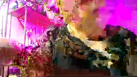 Snapshot of lady_gloria chatting on February 15, 6:44 am Lady Gloria online show from February 15, 6:44 am