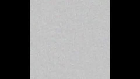  paola and a guest lol    online show from February 22, 9:37 pm