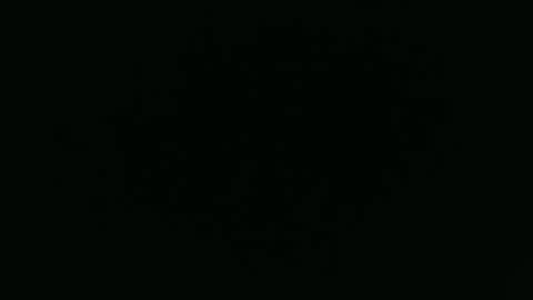 ANNIE online show from December 1, 5:44 am