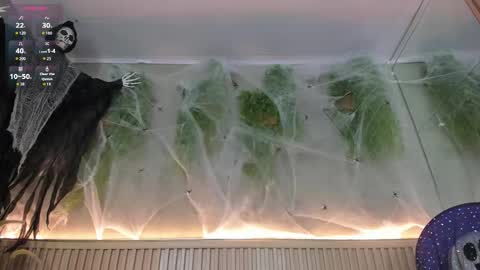 lana_lann online show from October 30, 2:40 pm