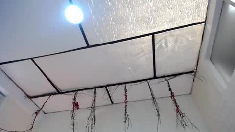 LAURA online show from March 23, 3:40 pm