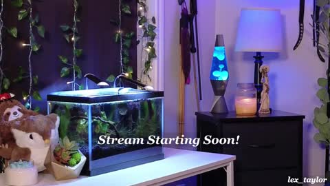 Snapshot of lex_taylor chatting on January 15, 3:22 am Lex online show from January 15, 3:22 am