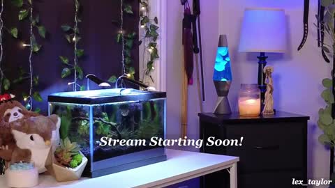 Snapshot of lex_taylor chatting on January 16, 2:51 am Lex online show from January 16, 2:51 am