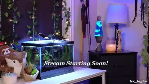 Snapshot of lex_taylor chatting on February 17, 4:06 pm Lex online show from February 17, 4:06 pm