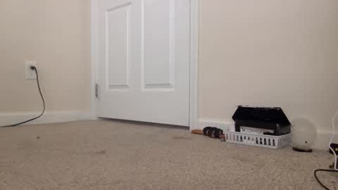 Alexia L. online show from February 24, 4:38 pm