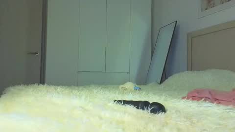 lili__roze_ online show from November 4, 5:23 am