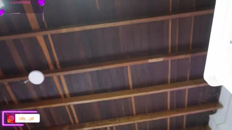 Sofia online show from February 4, 1:14 pm