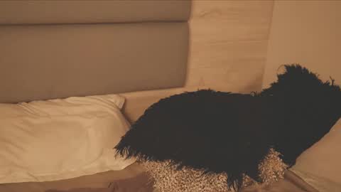 Lily Miiller online show from February 25, 12:20 am