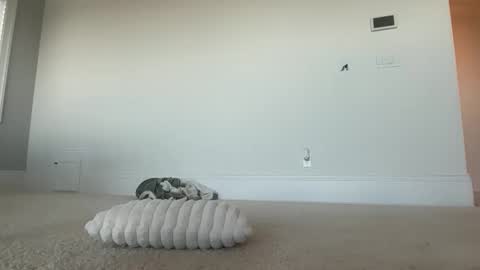 lilybrown07 online show from February 11, 9:49 pm