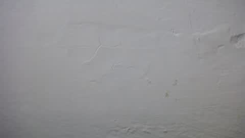 lisa_branch online show from November 23, 10:39 am