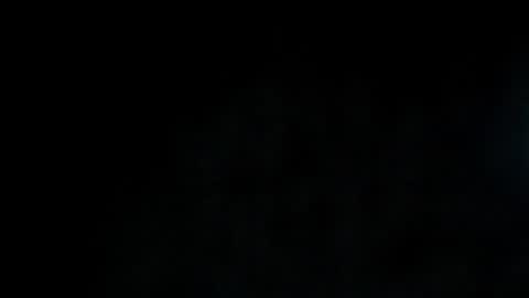 lisa will online show from October 10, 5:51 pm