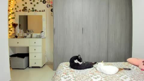 Luna online show from March 29, 10:20 pm