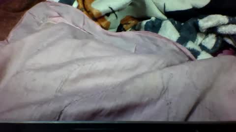 lovaelisa online show from October 30, 4:08 pm