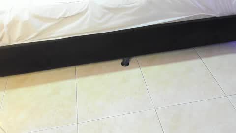 lulu online show from February 10, 7:17 pm