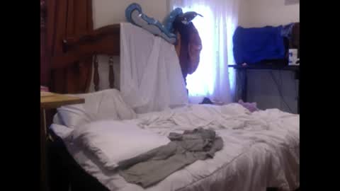 karazorel online show from January 14, 7:43 pm