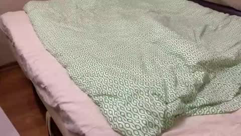 Ksenya online show from October 14, 8:33 pm