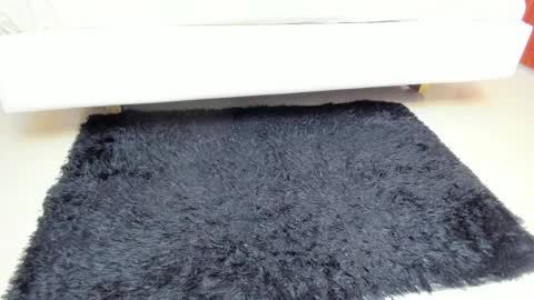 Madame Carla  online show from April 6, 12:06 pm