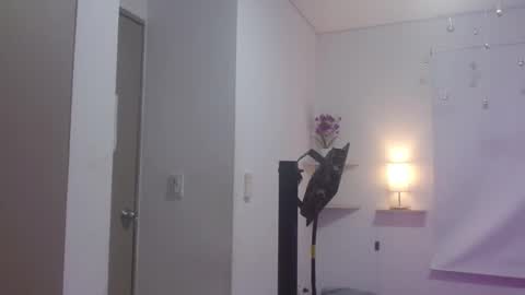 maddystone_ online show from February 1, 7:23 pm