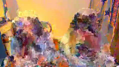 madelaine_taylor online show from December 5, 12:54 am