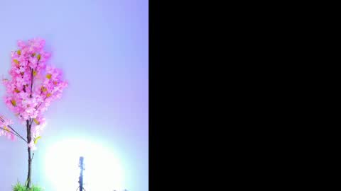 Maily  online show from September 28, 8:03 pm