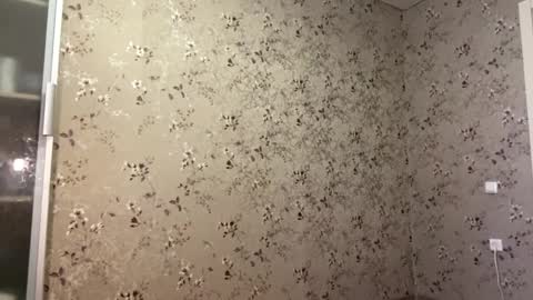 DIna online show from April 9, 2:11 pm