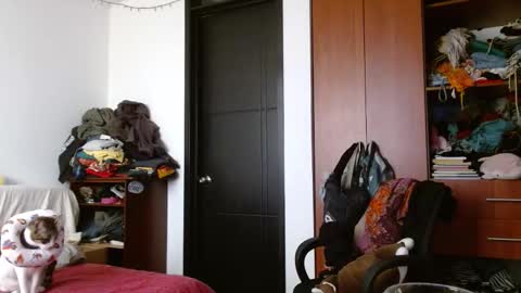 Malita online show from December 1, 9:17 pm