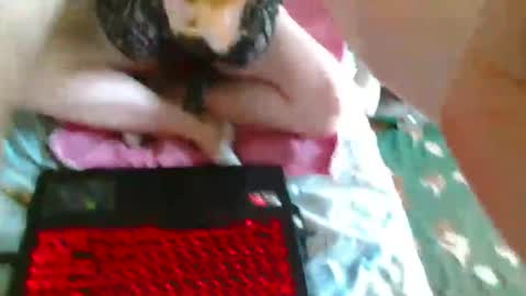 MalvinaQLanier online show from February 21, 1:23 pm