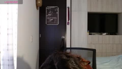 Mariana online show from February 22, 12:40 pm