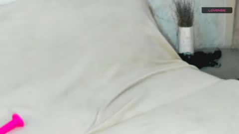 Snapshot of melmooon chatting on December 19, 2:13 pm MelMooon online show from December 19, 2:13 pm