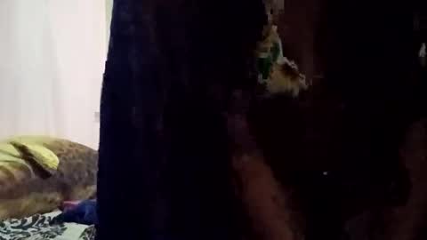 mercedesmakesyoucum6999 online show from January 12, 7:57 am