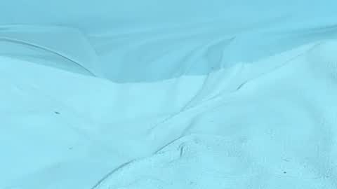 Michelle daniels online show from December 12, 12:59 am