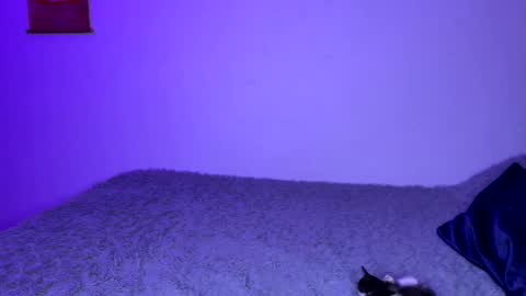 michellepetitte online show from April 2, 1:58 am