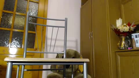 Im  to see you here Pvts are open  I love patterns soo much online show from December 4, 6:11 am