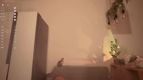 Rina online show from December 5, 5:25 pm