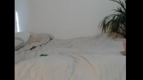 Elora online show from February 27, 7:23 am