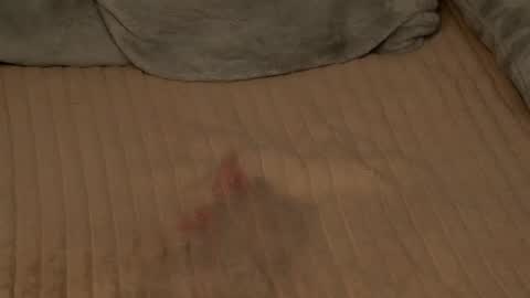 Rosalie online show from March 4, 7:26 am