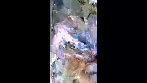 Misa online show from January 19, 3:25 am