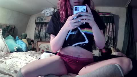 Mallow online show from December 3, 2:38 pm