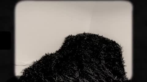 Snapshot of msprissylynx chatting on October 4, 3:45 am Adela Rose  MsPrissyLynx online show from October 4, 3:45 am