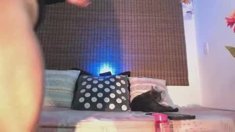 Musa online show from November 11, 3:46 am