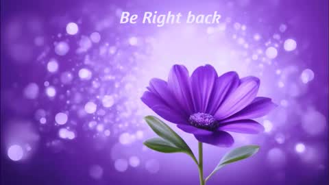 Anda online show from February 3, 2:53 am