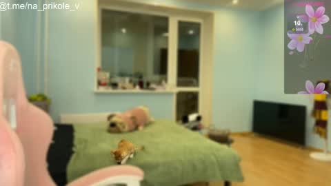 Snapshot of na_prikole_ chatting on October 24, 5:20 pm Vanessa and Julia online show from October 24, 5:20 pm