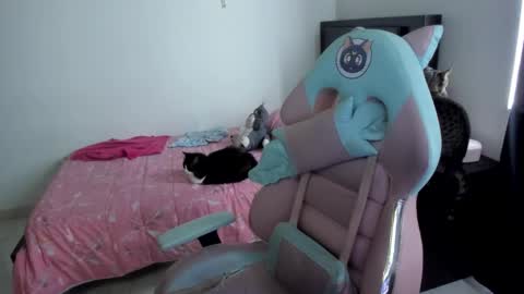 Nami online show from January 13, 9:08 pm