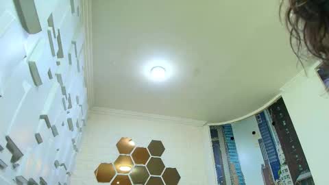 Kitten online show from March 24, 11:04 am