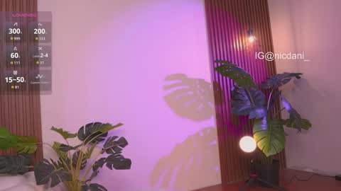 Dani 3 online show from November 22, 1:08 am