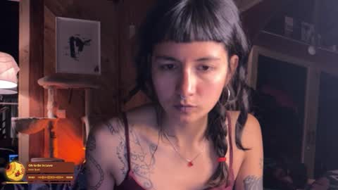 Nina.  online show from December 20, 11:53 pm